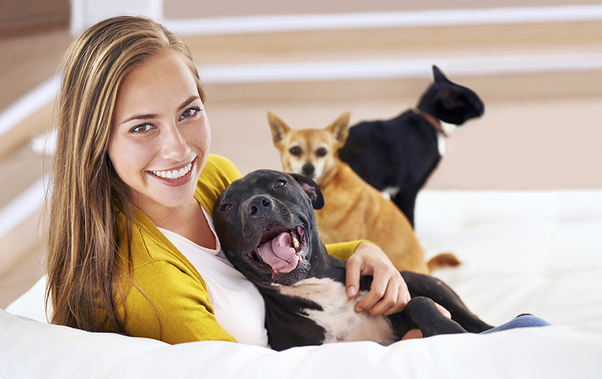 pet care pet care 101 lifecare pet care pet care 101 lifecare